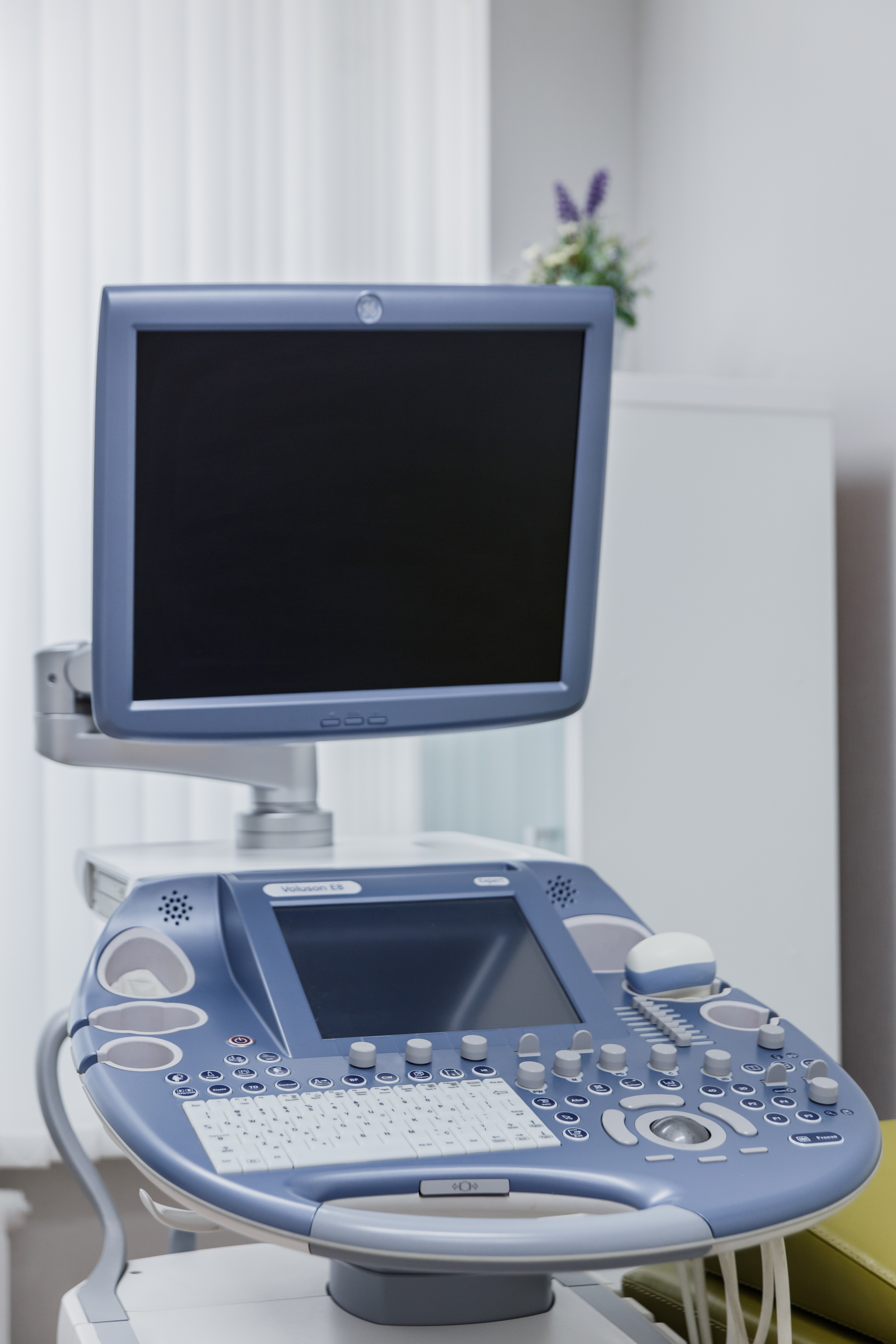 УЗ-аппарат VolusonE8 для УЗИ беременных | Новый Лекарь