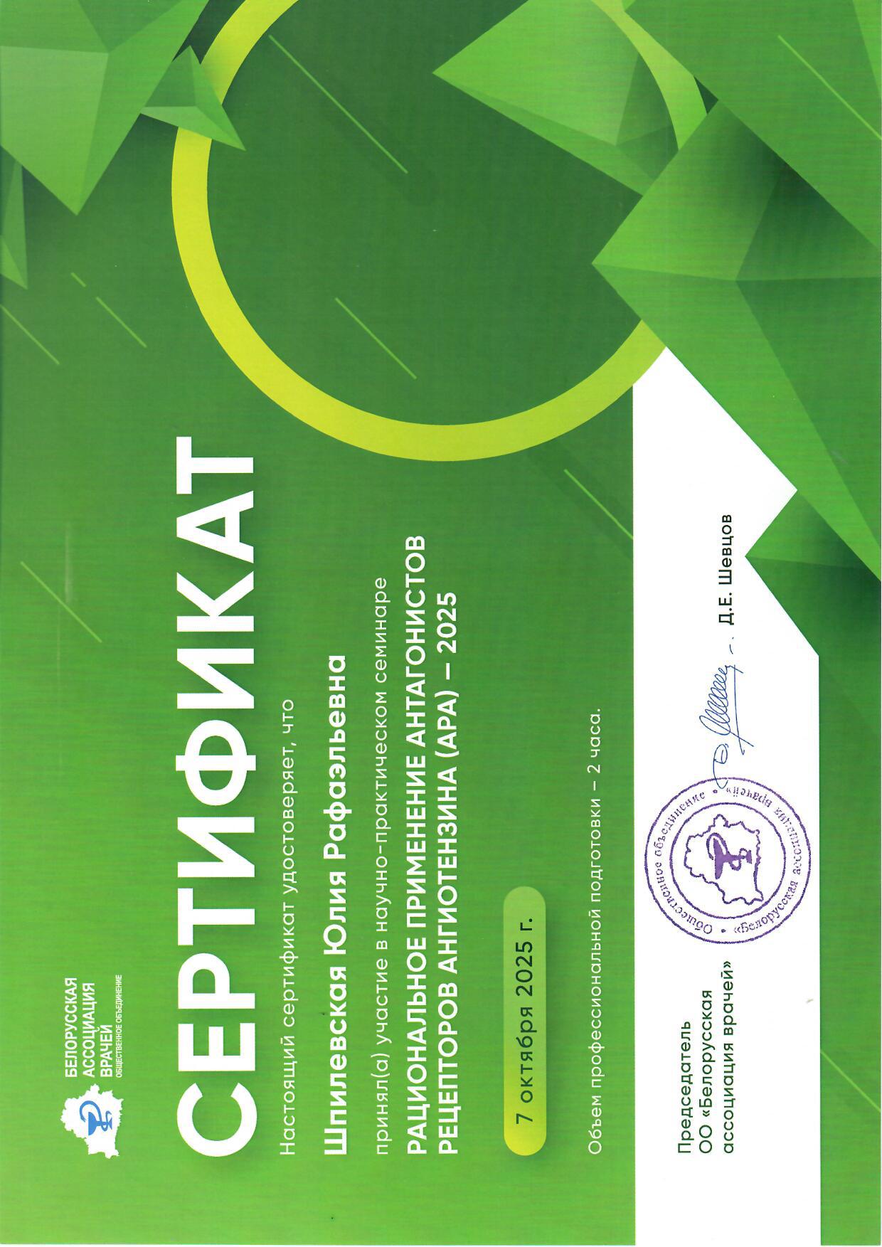 Shpilevskaya 10 2025